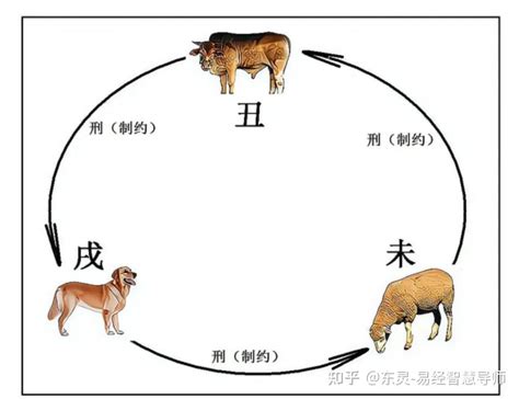 丑未戌|辰丑、未戌相破详解，地支相破的本质